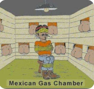 IMG_5314.jpeg IMG_5314.jpeg