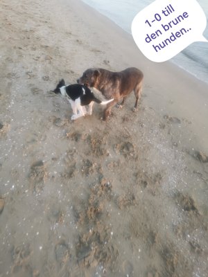 IMG_20241222_185349.jpg IMG_20241222_185349.jpg