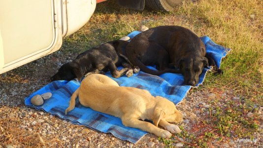 Bozas-Sagiada20141104-14.JPG Bozas-Sagiada20141104-14.JPG