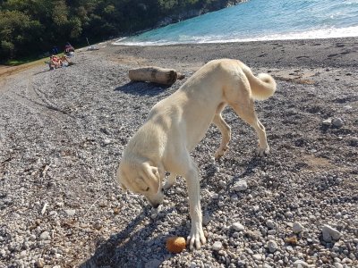 WhatsApp Bild 2024-10-14 kl. 13.15.56_d750e4c9.jpg WhatsApp Bild 2024-10-14 kl. 13.15.56_d750e4c9.jpg