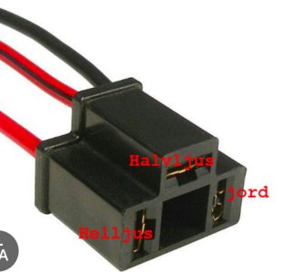 IMG_5420.jpeg IMG_5420.jpeg