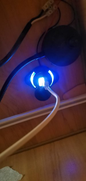 IMG_20250205_192526.jpg IMG_20250205_192526.jpg