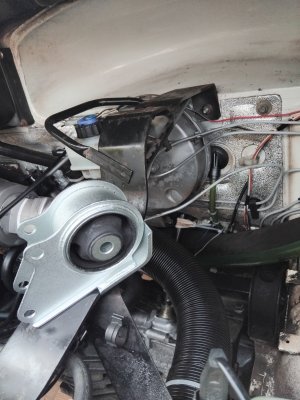 IMG_20250310_113157.jpg IMG_20250310_113157.jpg