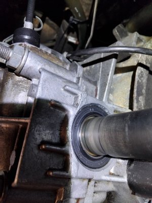 IMG_20250323_160638.jpg IMG_20250323_160638.jpg