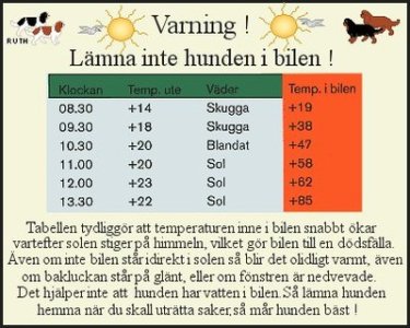 1000009764.jpg 1000009764.jpg