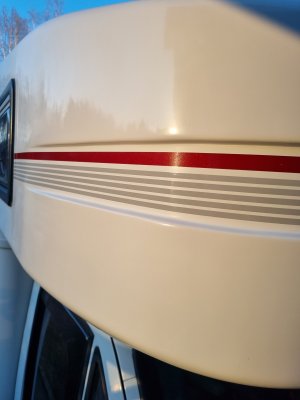 20250403_190704.jpg