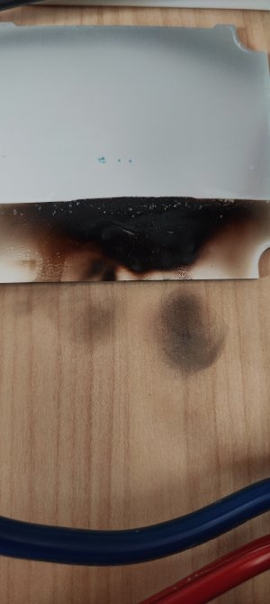 1000009939.jpg 1000009939.jpg