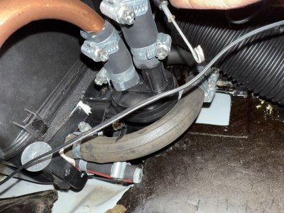 IMG_0359.jpeg IMG_0359.jpeg