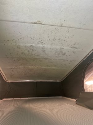 IMG_0073.jpeg