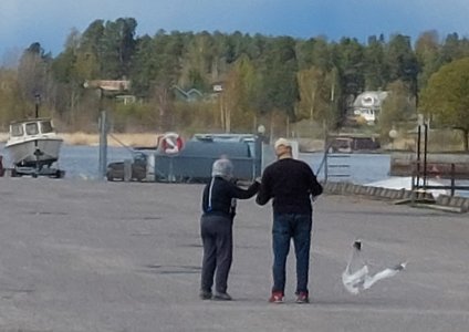 20250506_131124.jpg