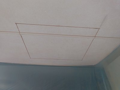 P_20250529_140854.jpg P_20250529_140854.jpg