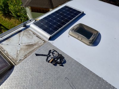 P_20250529_163504.jpg P_20250529_163504.jpg