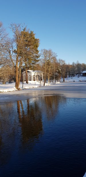 20191130_123110.jpg