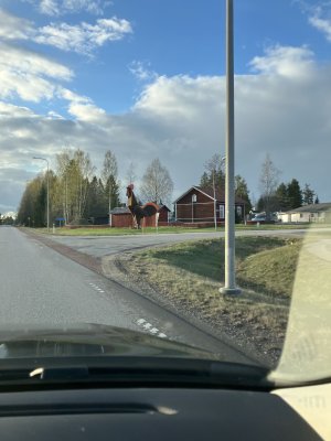IMG_4162.jpeg