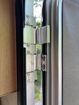 IMG_2445.jpeg