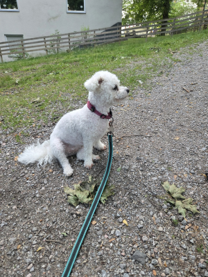 1752325965754.png 1752325965754.png