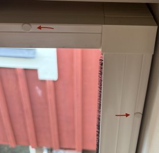 IMG_1558.jpeg
