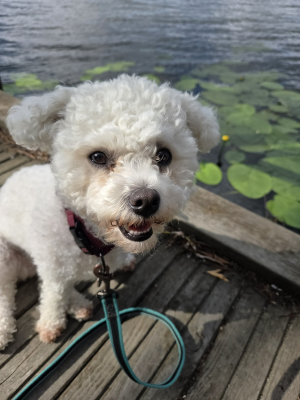 1754945337271.png 1754945337271.png