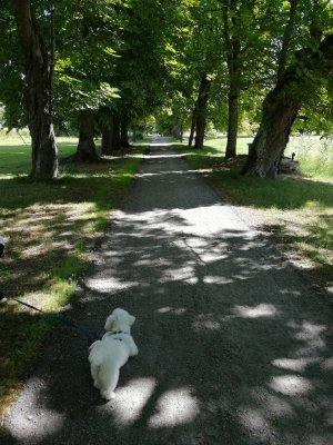 IMG_20220711_133230.jpeg