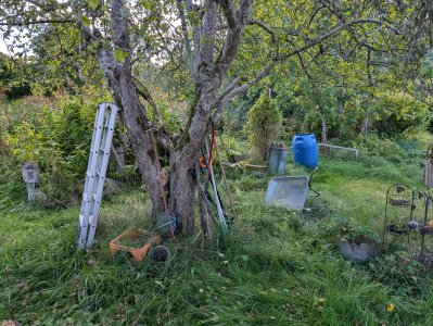 PXL_20250913_112145636.jpg PXL_20250913_112145636.jpg