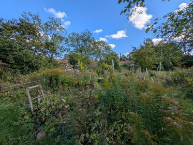 PXL_20250913_112155489.jpg PXL_20250913_112155489.jpg