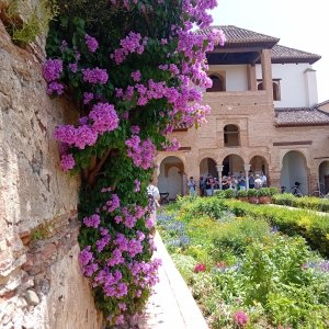 2025-06-24 14.50.48.jpg