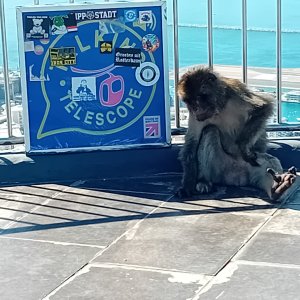 2025-06-26 17.41.34.jpg