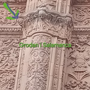 2025-06-30 16.45.34.jpg