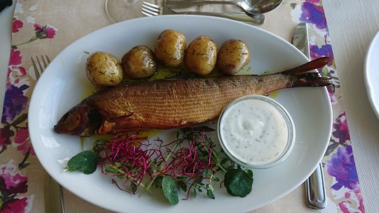 DSC_0778.jpg