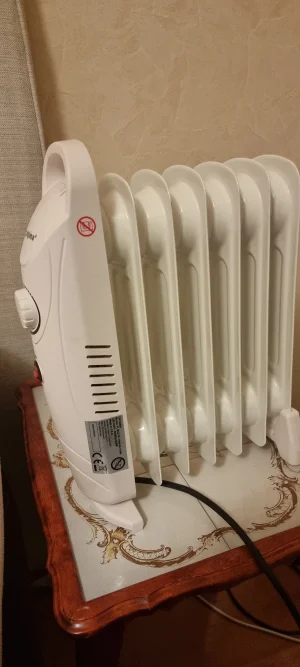 kamin.webp