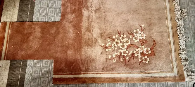 1762473786040.webp 1762473786040.webp