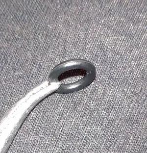 DSC_2190.webp DSC_2190.webp