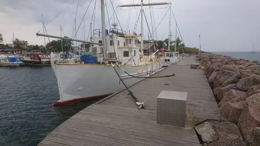 DSC_0008~2.webp DSC_0008~2.webp