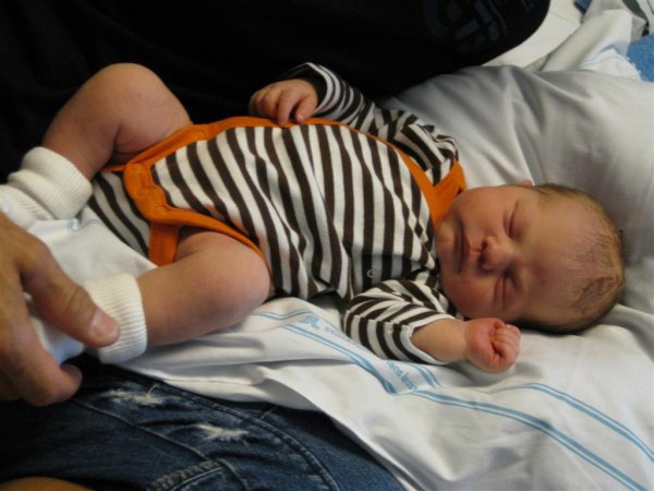 IMG_1255.JPG IMG_1255.JPG