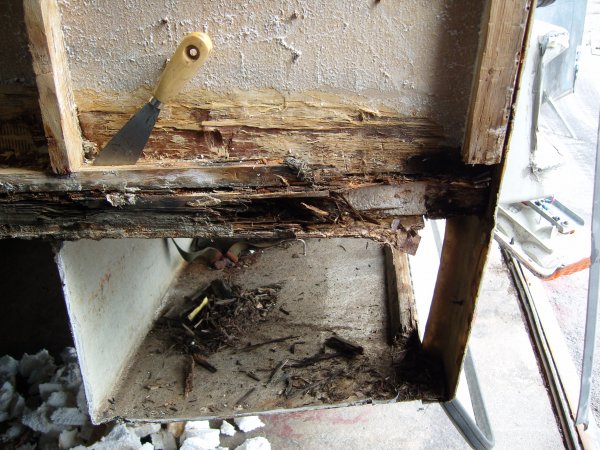 Rutten bak utan kjol.JPG