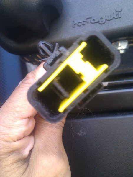 Lösa honans bakdel.jpg