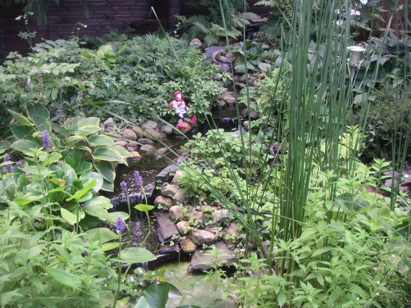 100819 009.jpg 100819 009.jpg