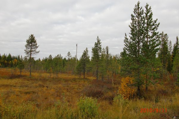 sept 2010  Murjek 006   B.jpg