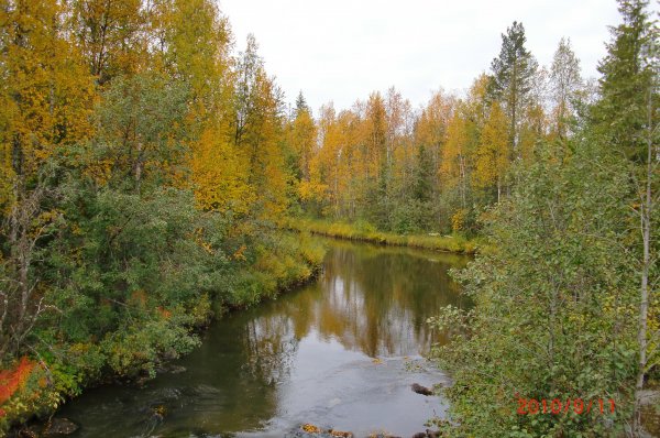 sept 2010  Murjek 009   D.jpg