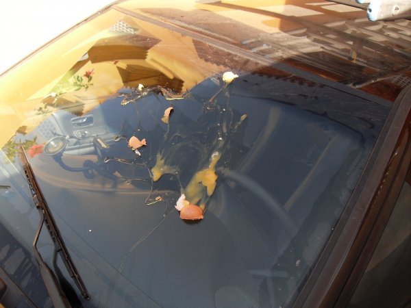 SDC10287.JPG SDC10287.JPG