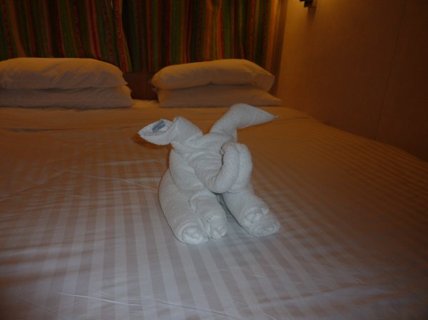 Copy of P1000704(1)(1).JPG