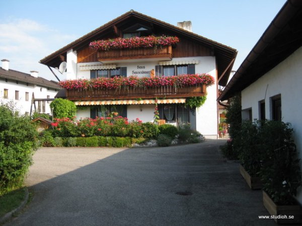 Semester 2010 Del 2 478.JPG