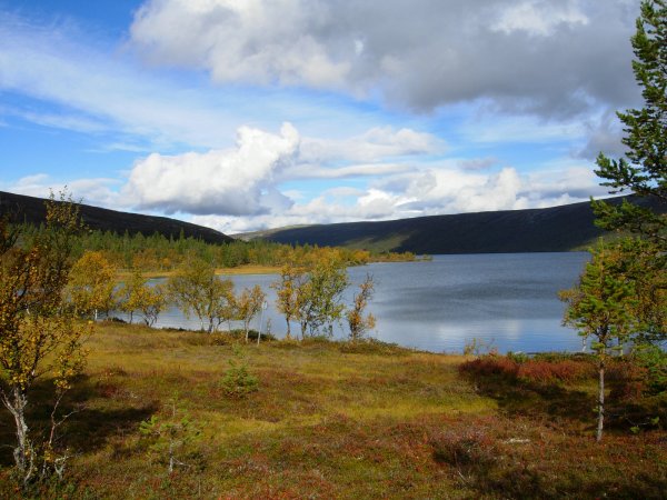 grövlesjön  2010 016.JPG