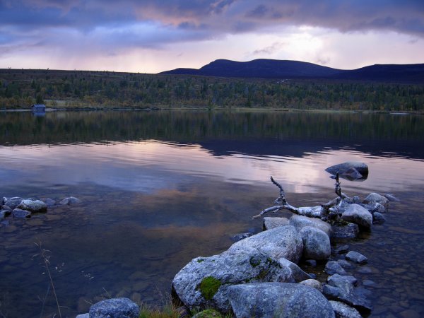 grövlesjön  2010 033.JPG