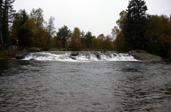 grövlesjön  2010 001.JPG