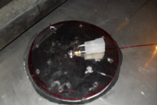 SDC10279.JPG