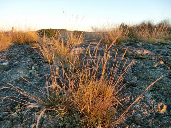 Höst 001 (1024x768).jpg