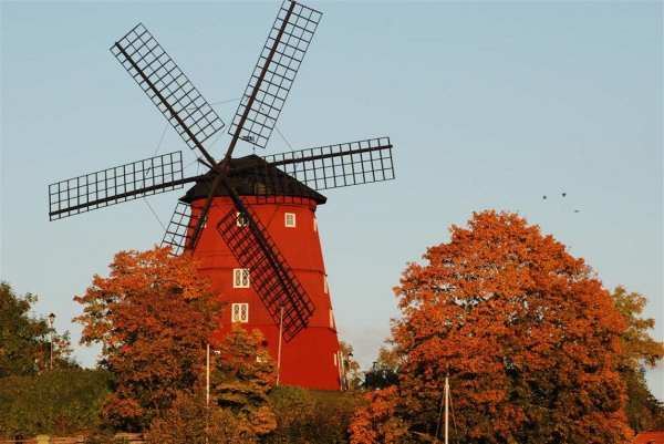 DSC_0042 - Kopia (Medium).JPG