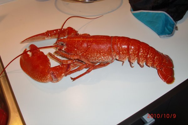 7-11 okt 2010 014   B.jpg