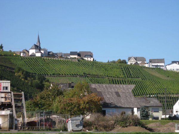 Mosel 004.JPG